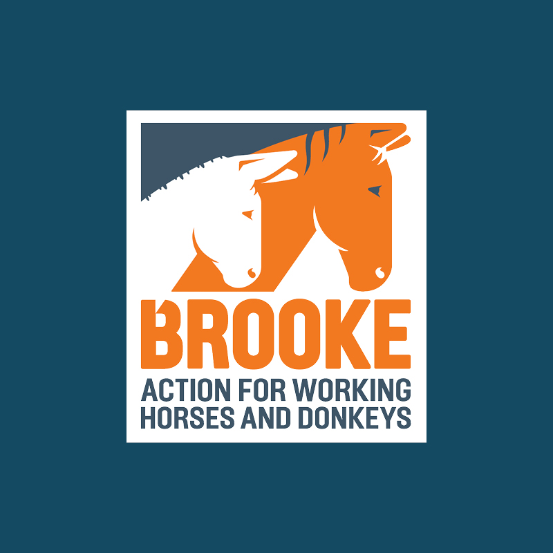 Brooke – Action for working horses and donkeys
