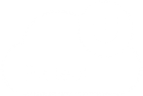 Protec Icon