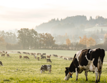 Natural resources, construction, and utilities