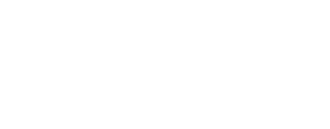 University of Hull logo