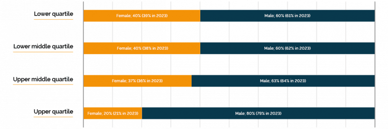 Graphic showing the male female split between the different quartiles in Phoenix Software