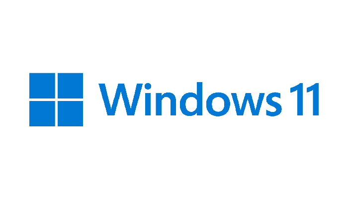 Windows 11 logo