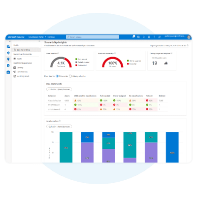 Image of an example Microsoft Purview Portal