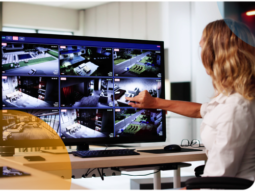 Image of a person viewing CCTV footage on a monitor