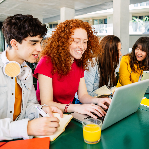 Featured image for Higher education